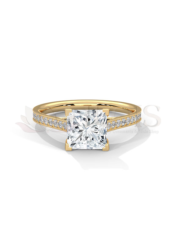 Regal Princess Cut Pave Band Diamond Engagement Ring